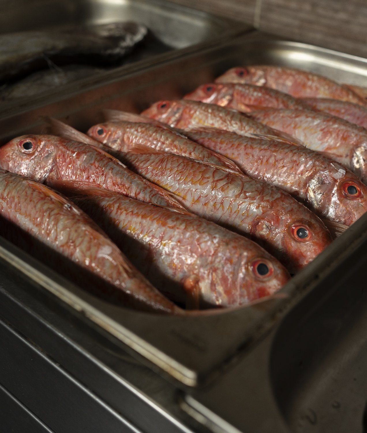 Fresh red mullet in a tray in the kitchen at The Shore, Penzance